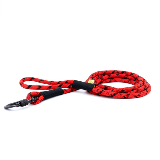 Albert #16 - Rouge et noir